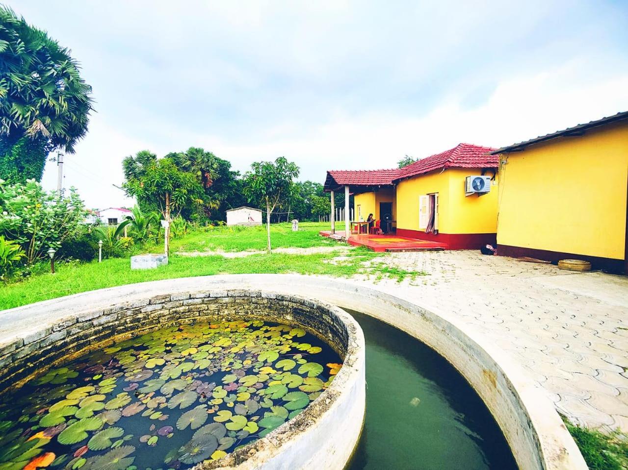 Farm stay Kaia - Farm & Garden Cafe - Free Fishing *