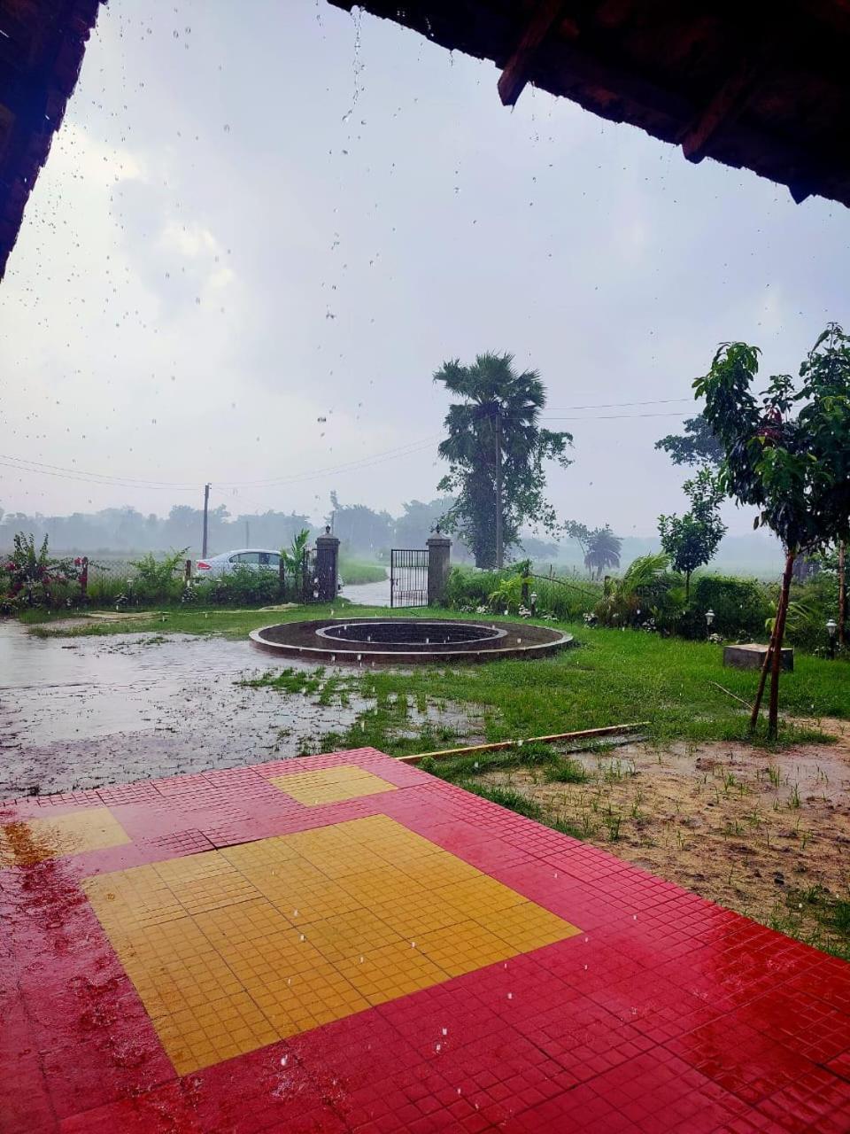Kaia - Farm & Garden Cafe - Free Fishing Bolpur