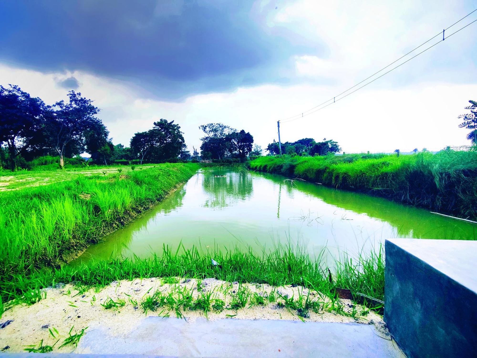 Farm stay Kaia - Farm & Garden Cafe - Free Fishing Bolpur